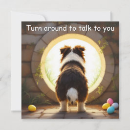 Australische herdershond - met familienaam feestdagenkaart