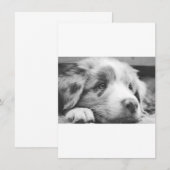 Australische herdershond puppy zwart-wit menu (Voorkant / Achterkant)