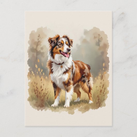 Australische Herdershond Rode Merle Aussie Briefkaart (Voorkant)