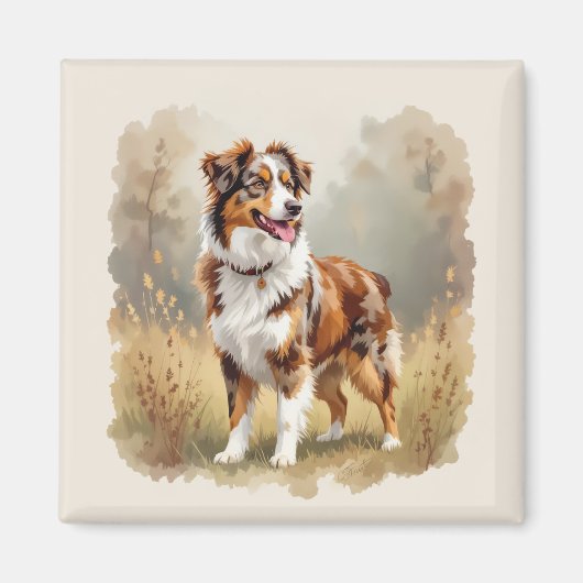 Australische Herdershond Rode Merle Aussie Magneet (Voorkant)