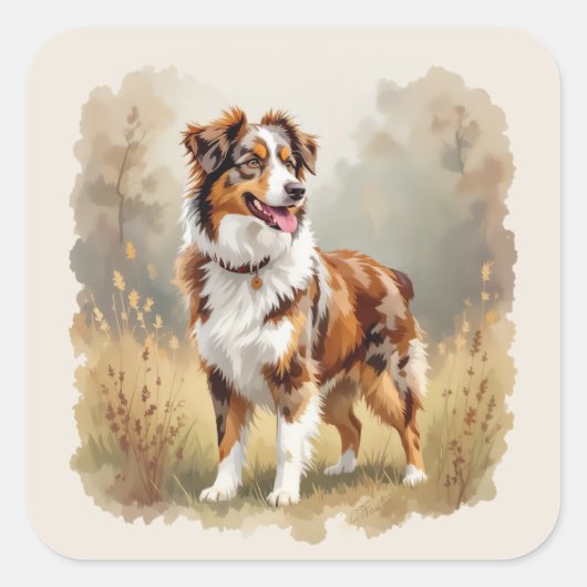 Australische Herdershond Rode Merle Aussie Vierkante Sticker (Voorkant)
