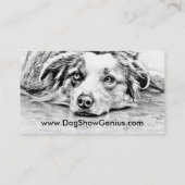 Australische herdershond visitekaartje (Achterkant)