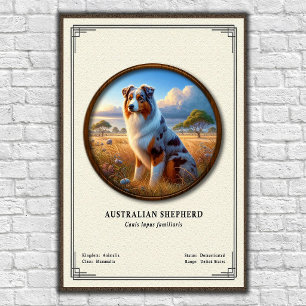 Australische Herdershond Zoologie Serie Poster