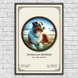 Australische Herdershond Zoologie Serie Poster