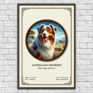 Australische Herdershond Zoölogie Serie Poster