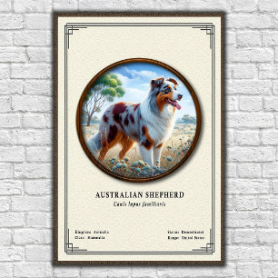 Australische Herdershond Zoologie Serie Poster