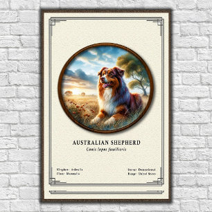 Australische Herdershond Zoologie Serie Poster