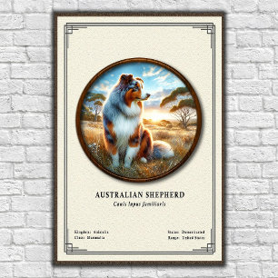 Australische Herdershond Zoologie Serie Poster