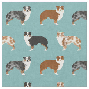 Australische herdershonden kleuren blauw stof