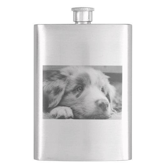 australische herderspuppy bw flacon (Voorkant)