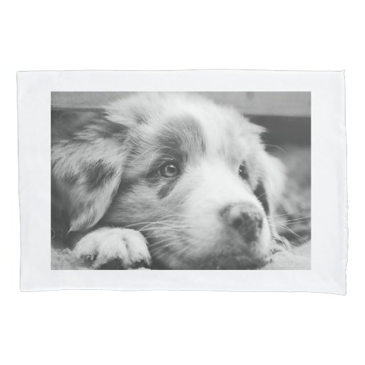 australische herderspuppy bw kussensloop (Voorkant)