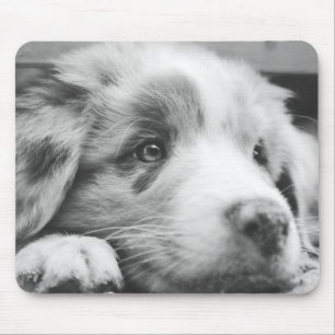australische herderspuppy bw muismat