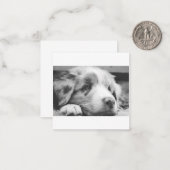 australische herderspuppy bw notitiekaartje (Voorkant / Achterkant in situ)