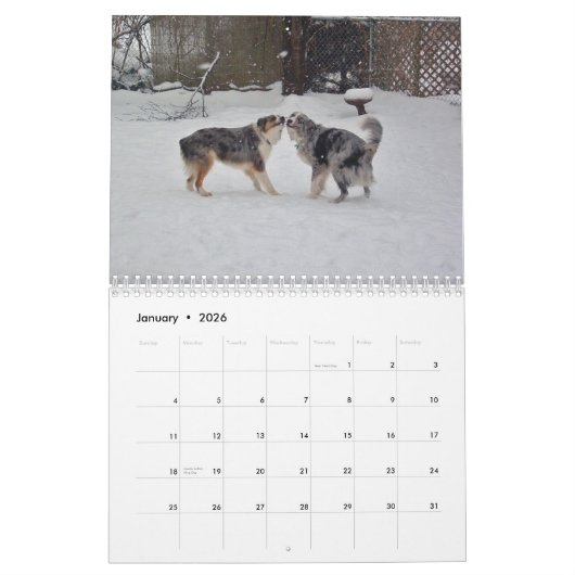 Australische herds kalender 2013 (Jan 2026)