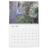 Australische herds kalender 2013 (Mar 2027)