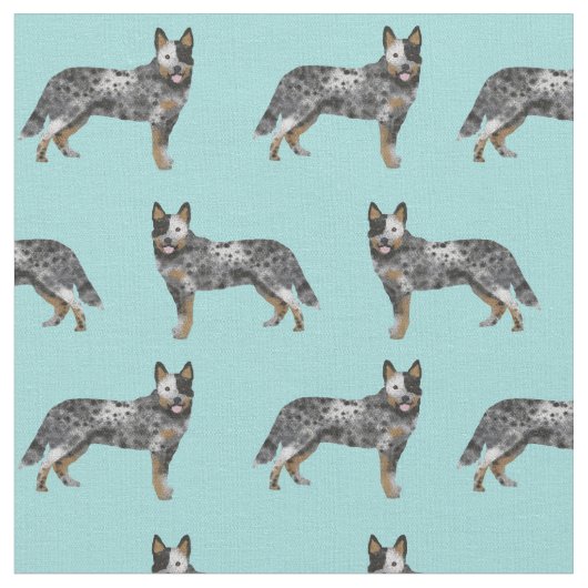australische hond blauw hals stof (Close Up)
