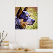 Australische hond van runderen - portret van honde poster (Keuken)