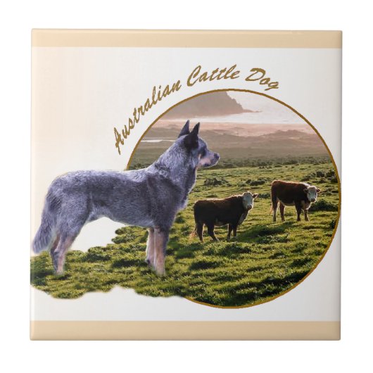 Australische hondkunst tegeltje (Voorkant)