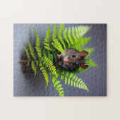 Australische Hopping Mouse, puzzel (Horizontaal)