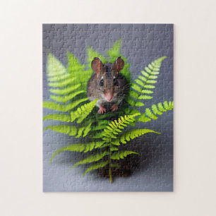 Australische Hopping Mouse, puzzel