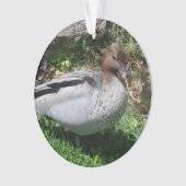 Australische HoutEend in Rustige Tuin Ornament (voorkant)