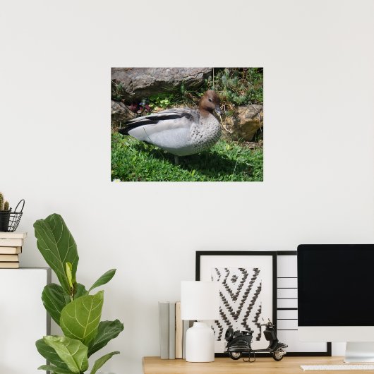 Australische HoutEend in Rustige Tuin Poster (Thuiskantoor)