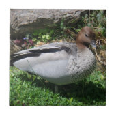 Australische HoutEend in Rustige Tuin Tegeltje (Voorkant)