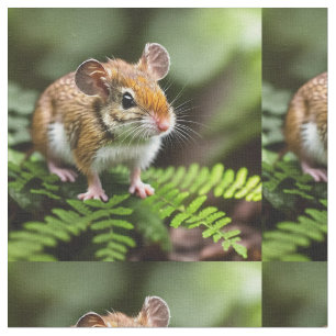 Australische Huppelmuis, Stof