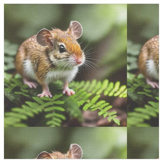 Australische Huppelmuis, Stof (Close Up)