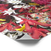 Australische inheemse bloemen poster (Hoek)