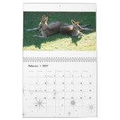 Australische inheemse dieren kalender (Feb 2027)