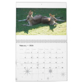 Australische inheemse dieren kalender (Feb 2026)