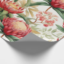 Australische inheemse Protea Bloem II