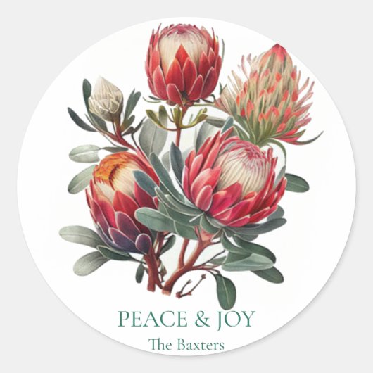 Australische inheemse Protea kerstcadeau Sticker (Voorkant)