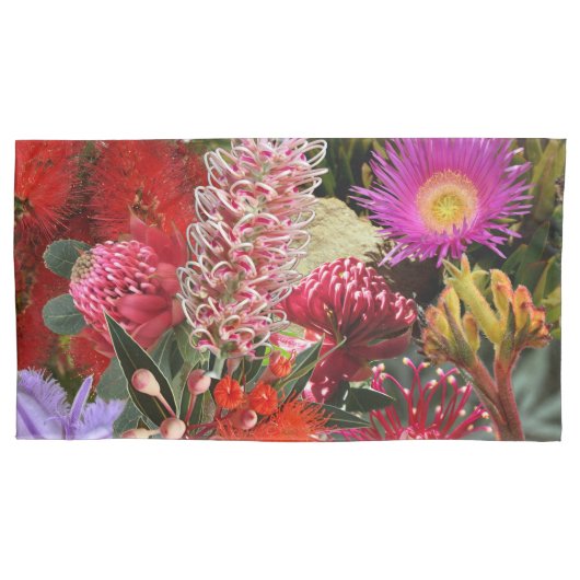 Australische inheemse wilde bloemen koning kussensloop (Voorkant-Links)