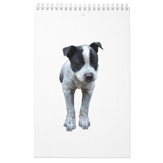 Australische kalender voor kattenhonden (Achterkant)