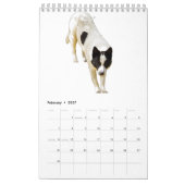 Australische kalender voor kattenhonden (Feb 2027)