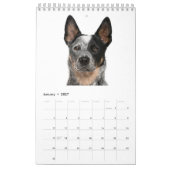 Australische kalender voor kattenhonden (Jan 2027)