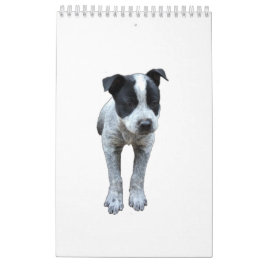 Australische kalender voor kattenhonden