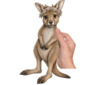 Australische Kangoeroe Golfheadcover