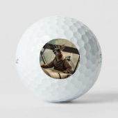 Australische kangoeroe piloot, golfballen (Voorkant)