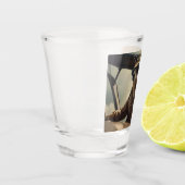 Australische kangoeroe piloot, shot glas (Links)