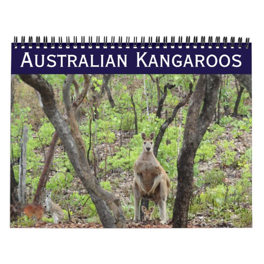 Australische kangoeroes 2025 kalender (Hoes)