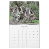 Australische kangoeroes 2026 kalender (Mar 2027)