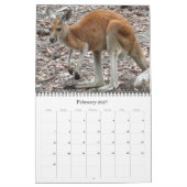 Australische kangoeroes 2026 kalender (Feb 2027)