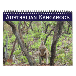 Australische kangoeroes 2026 kalender