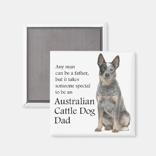 Australische kattehond pa Magnet (Voorkant / Achterkant)