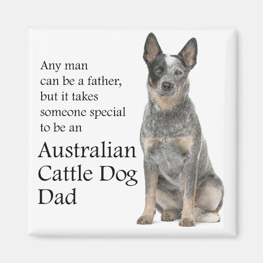 Australische kattehond pa Magnet (Voorkant)
