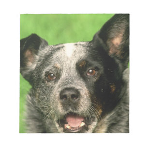 Australische kattendog-blocnote notitieblok