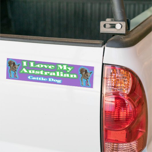 Australische kattenhonden. Ik moet van ze houden. Bumpersticker (Op Truck)